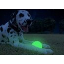 2 Glow Treat ball on call
